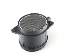 Mass Air Flow Sensor (MAF)