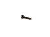 ES#14513 - 07119904175 - Sheet Metal Screw - ST4.2X19 - Genuine BMW - BMW MINI