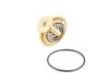 ES#2713078 - 075121113D -  Thermostat - 80C - Includes sealing O-Ring - Vemo - Audi Volkswagen