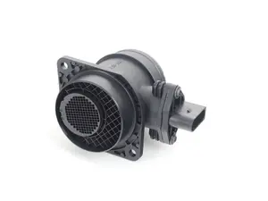 Mass Air Flow Sensor (MAF)