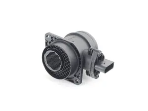 Mass Air Flow Sensor (MAF)