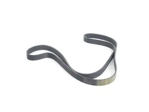 Accessory Belt