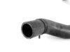 ES#38244 - 17121475574 - Radiator Hose - Lower - Keep your MINI engine cool and to proper circulation - Genuine MINI - MINI