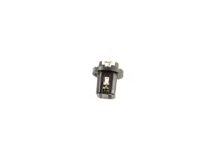 Bulb With Socket Base