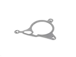 Vacuum Pump Gasket