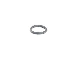 Timing Case Cover Seal - Lower