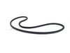 ES#2138582 - 51727278503 - F10 Door seal - front - Front Body mounted door seal - Genuine BMW - BMW
