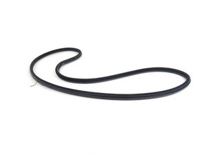 ES#2138582 - 51727278503 - F10 Door seal - front - Front Body mounted door seal - Genuine BMW - BMW