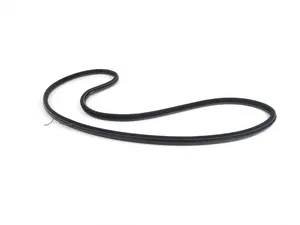 F10 Door seal - front