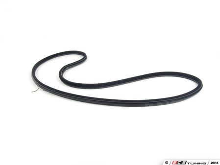 ES#2138582 - 51727278503 - F10 Door seal - front - Front Body mounted door seal - Genuine BMW - BMW