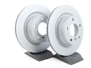 Rear Brake Rotors - Pair (300x20)