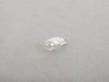ES#251091 - 2825-6 - Wedge Bulb - Priced Each - 6w Style 2825 Bulb - Osram Sylvania - Volkswagen