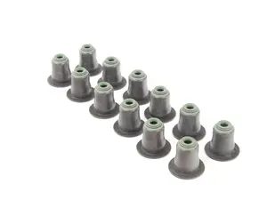 Valve Seal Repair Kit - Exhaust