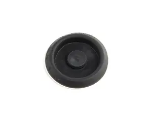 Sealing Plug - Priced Each