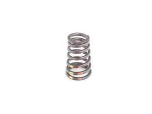 Valve Spring - Priced Each