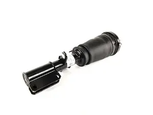 Front Air Strut Assembly - Right