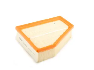 Air Filter-Right Side