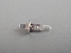 ES#4846680 - 00000000026864 - BULB - Genuine Mercedes Benz - Mercedes Benz