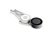 ES#259673 - 06B903133E - Accessory Belt Tensioner Assembly - Keep your accessories running properly - Ina - Audi