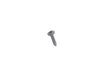 ES#109781 - 51431874616 - Self Tapping Screw - ST4.2x19 - Genuine BMW - BMW MINI