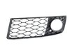 ES#7739 - 8E0898100 - RS4 Fog Lamp Air Grille Kit - (NO LONGER AVAILABLE) - RS4 mesh grille look for your A4/S4 - Genuine Volkswagen Audi - 