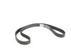 ES#2723750 - 03L109119F - Timing Belt  - Replacement timing belt for required maintenance - Continental - Audi Volkswagen