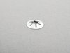 ES#149921 - 52207115704 - Axial Securing Clip - 5.75MM - Genuine BMW - BMW MINI
