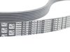 ES#2678658 - 11287636377 - Accessory Belt - Drives the water pump, power steering, and alternator. - Genuine BMW - BMW