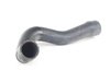 ES#24807 - 11531436988 - Water Hose - Serves as a supply line to the radiator - Genuine BMW - BMW