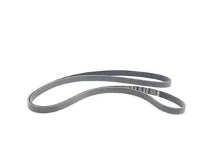 Accessory Belt
