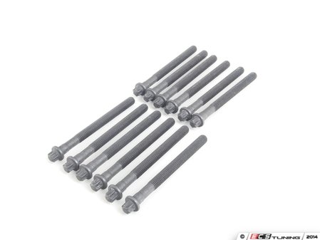 ES#18762 - 11127838831 - Cylinder Head Bolt - Set - Includes bolts to do one cylinder head - Genuine BMW - BMW