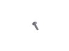 ES#242602 - 46637659479 - FILLISTER HEAD SCREW - Genuine BMW - BMW MINI