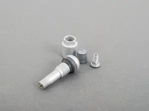 Screw-In Valve Black Stem - Priced Each