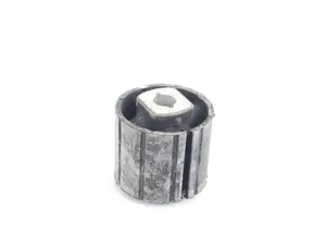 Rear Differential Carrier Bushing