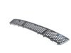 ES#2177884 - 51117285950 - F10 Grill - Air Intake - Center - Genuine BMW - BMW