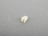 ES#172369 - 63121374075 - Expanding Nut - Priced Each - Used throughout BMW models - Genuine BMW - BMW MINI