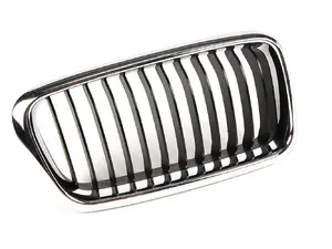 Kidney Grille - Right
