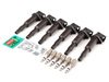 ES#2597316 - 12131712219KT1 - Ignition Service Kit - Everything you need to service your ignition system including Bosch ignition coils and Bosch Platinum+4 spark plugs - Assembled By ECS - BMW