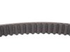 ES#1983 - 054109119A - Timing Belt - (NO LONGER AVAILABLE) - The most important belt on your engine - Continental - 