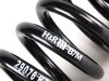 ES#1303817 - 52794 - Sport Spring Set - Lowers your vehicle and provides superb ride quality - H&R - Mercedes Benz