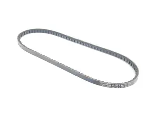 Secondary Air Pump Belt