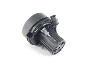 Secondary Air Pump