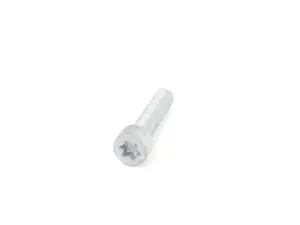 Turbo Oil Line Screw - Priced Each