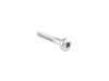 ES#253789 - 07147209542 - Torx Bolt - Priced Each - Used to secure door handle frames - Genuine BMW - BMW