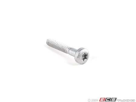 ES#253789 - 07147209542 - Torx Bolt - Priced Each - Used to secure door handle frames - Genuine BMW - BMW