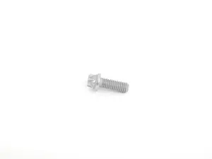 Torx screw - priced each