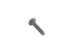 ES#1847796 - 99991925901 - OVAL-HEAD SCREW 6X30 - Genuine Porsche - 