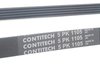ES#2738757 - 079903137E - Accessory Belt  - Replaces your cracked or worn belt - Continental - Audi