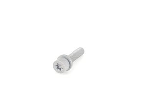 ES#16150 - 07129905558 - Torx Screw - See MOQKT - Genuine BMW - BMW MINI