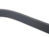 ES#2739661 - 99919229050 - Ribbed Accessory Belt - For vehicles without air condititoning - Continental - Porsche
